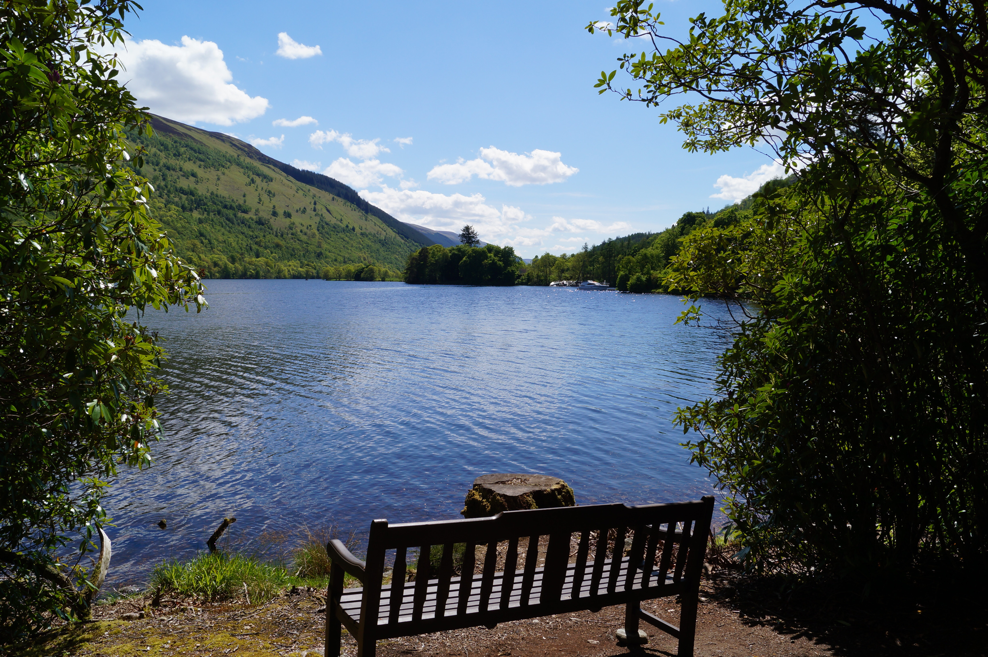 Bench beside Loch Oich