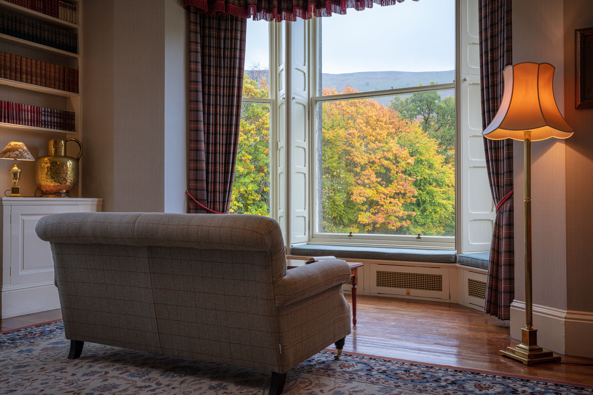 Library window with trees