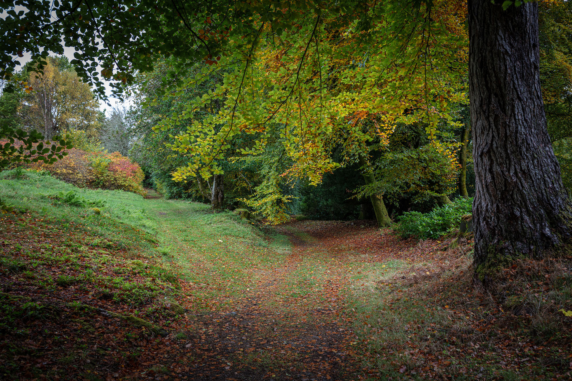 Paths in the grounds